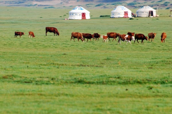 White Food, Red Food: How Mongolia's Nomadic Calendar Built a Cuisine Around Milk and Fire